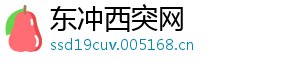 东冲西突网